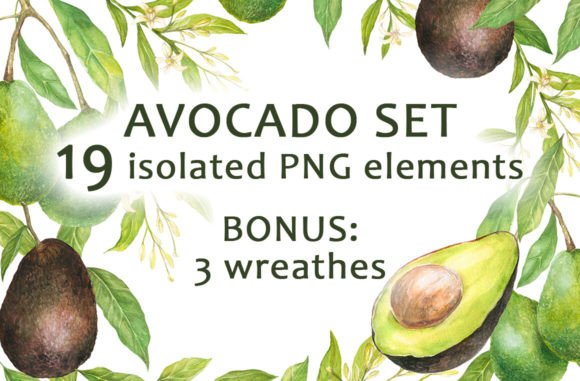 Avocado Set Watercolor Clipart for Modern Branding