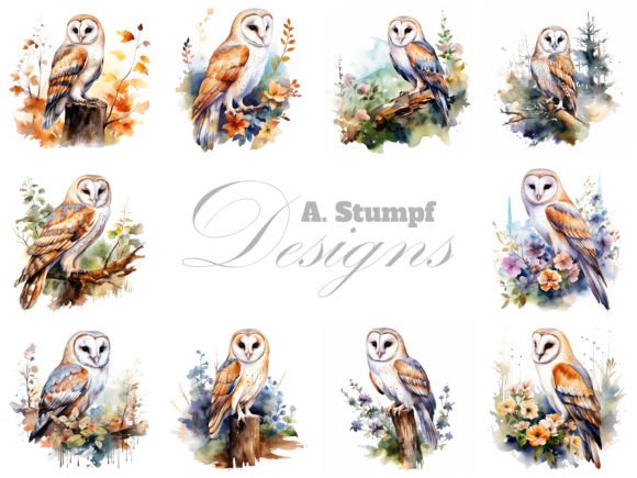 Barn Owl Clipart Watercolor Bird Images: A Designer’s Full Review