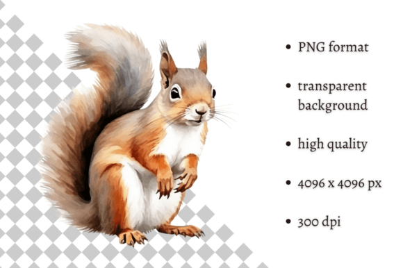 Bringing the Forest to Your Designs: Watercolor Woodland Squirrel PNG