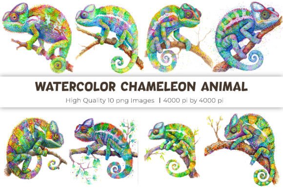 Chameleon Watercolor Clipart: A Versatile Display Font