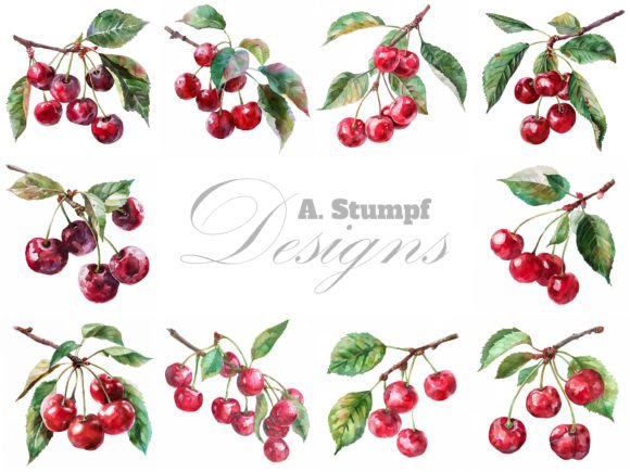 Cherries Branch Watercolor Clipart Set