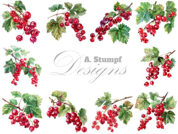 Currants Watercolor Berry Clipart Set for Creative Projects