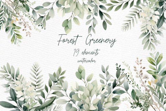 Greenery Watercolor Clipart Foliage