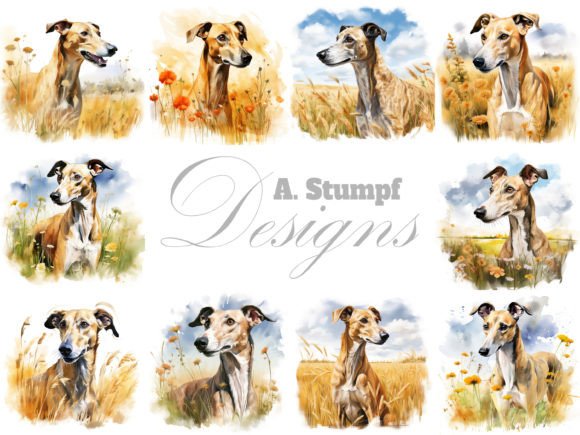 Greyhound Clipart Watercolor Dog Images