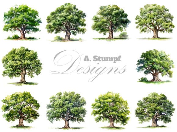 Oak Tree Watercolor Clipart Set for Natural Brand Identity