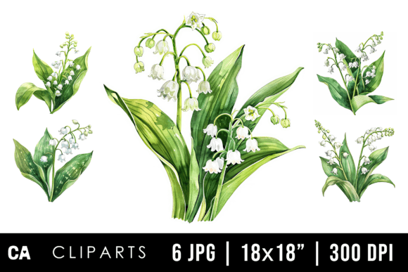 Watercolor Lily of the Valley Cliparts