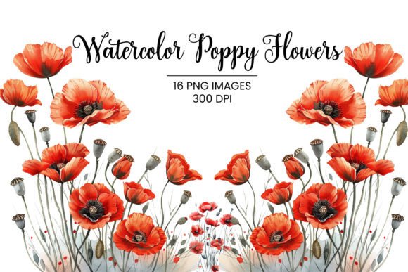 Watercolor Poppy and Peony Flowers for Branding & Design