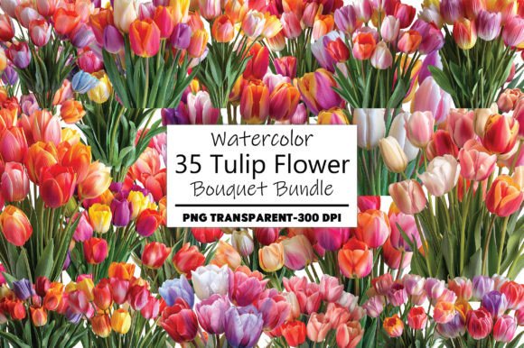 Watercolor Tulip Flower Bouquet Bundle for Creative Design