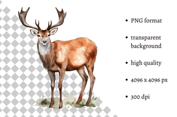Watercolor Woodland Buck Deer Clipart