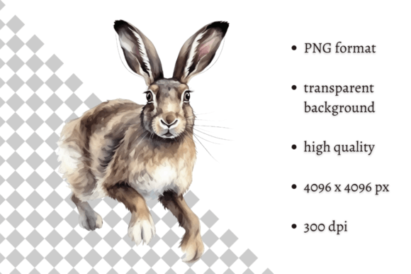 Watercolor Woodland Hare PNG Clipart