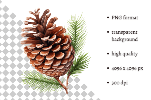 Watercolor Woodland Pine Cone Clipart